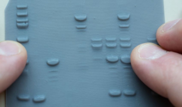 3D printed lithographs help blind people quickly identify information and