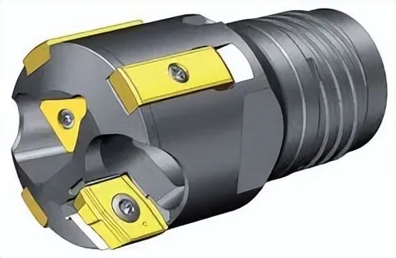 Photo WeChat_20240816102040.jpg