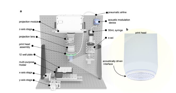 Dynamic interface printing new 3D bioprinting technology faster and more