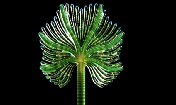 New Zealand 4D printing expert uses Stratasys printer to create