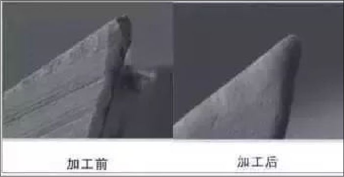 Image WeChat_20240228100453.png