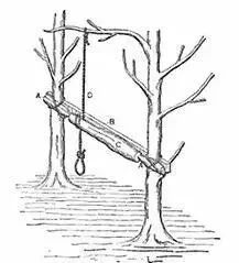 Photo WeChat_20230815161328_2.jpg