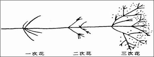 Image WeChat_20230808102016.png