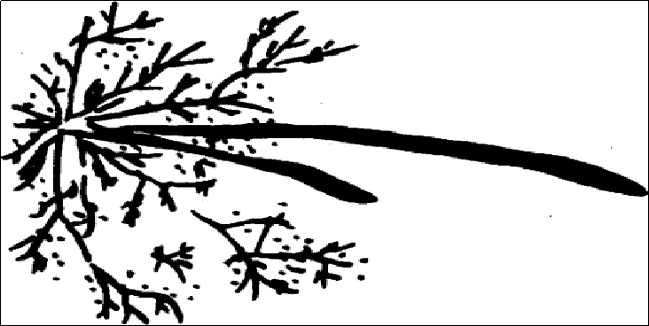 Image WeChat_20230808102016_3.png