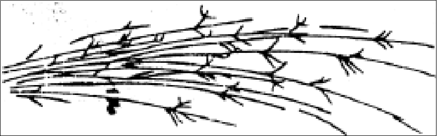 Image WeChat_20230808102016_5.png