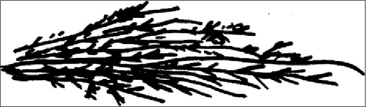 Image WeChat_20230808102016_4.png