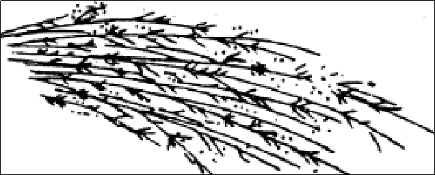 Image WeChat_20230808102017.png