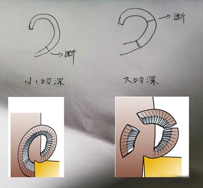 Photo WeChat_20230721092608.jpg