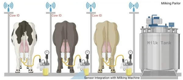 3D printing advances in early detection of milk fever