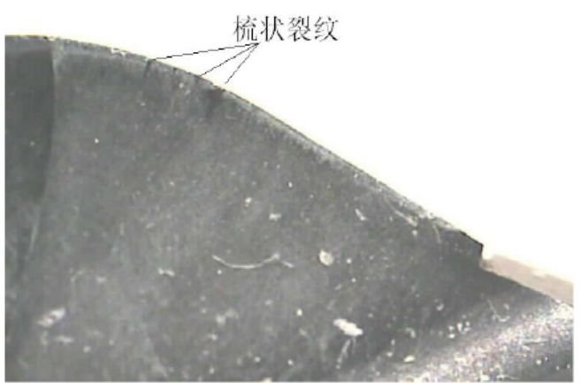 1685583262187142.Jpg WeChat picture_20230601093024.jpg