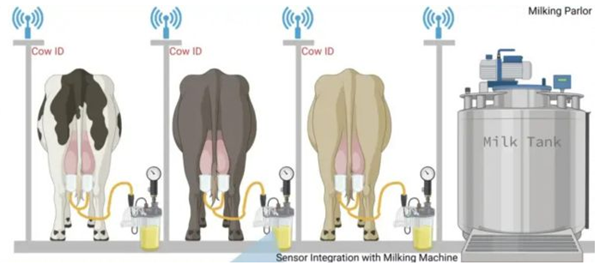 3D printing advances in early detection of milk fever