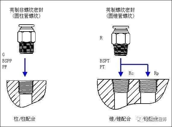 Photo WeChat_20240301095128.jpg