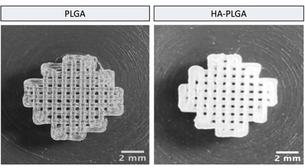 Scientists use 3D printing to study the spread of cancer cells