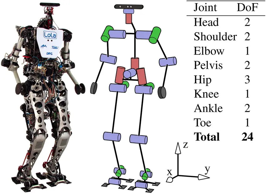 Robot Lola 3D Model​