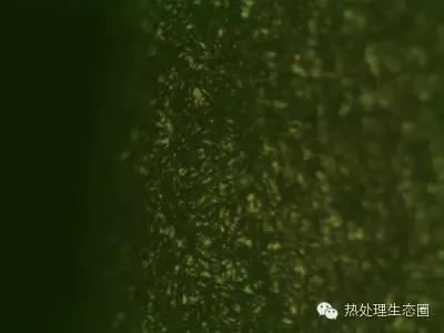 1739010539 347 CNC Knowledge Check the causes of gear grinding cracks