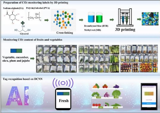 How to control the freshness of food using 3D printing and neural networks?