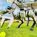 Human-Agent Joint Learning For Efficient Robot Manipulation Skill Acquisition​